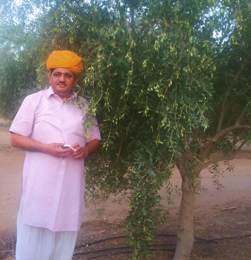 farmer-stands-beside-olive-tree