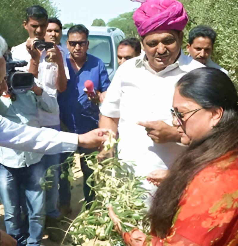 government-officials-and-local-leaders-inspect-olive-branches