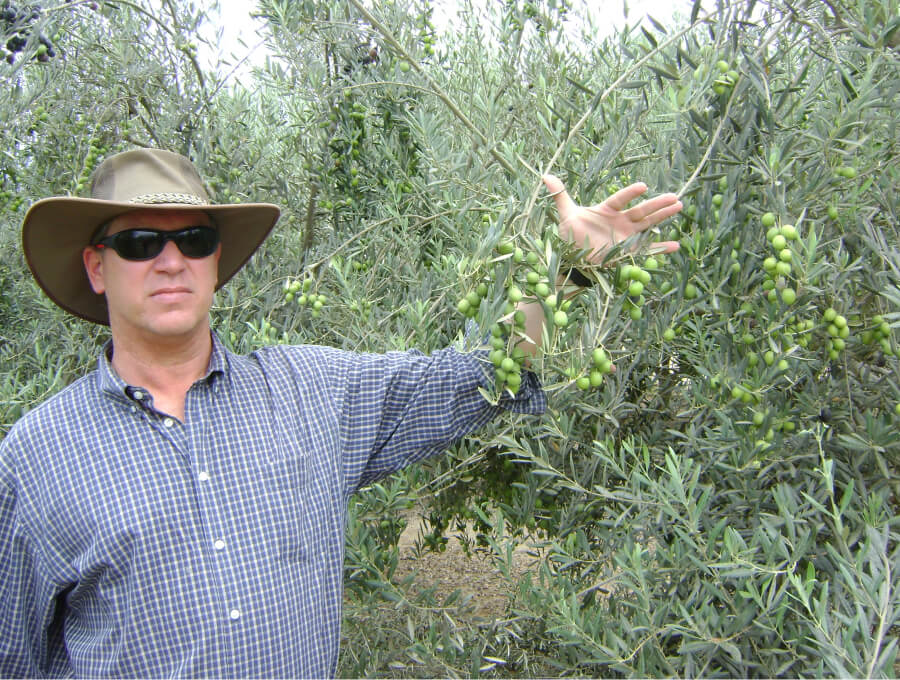 oasis-olives-s.a-gallery-cover-thumb