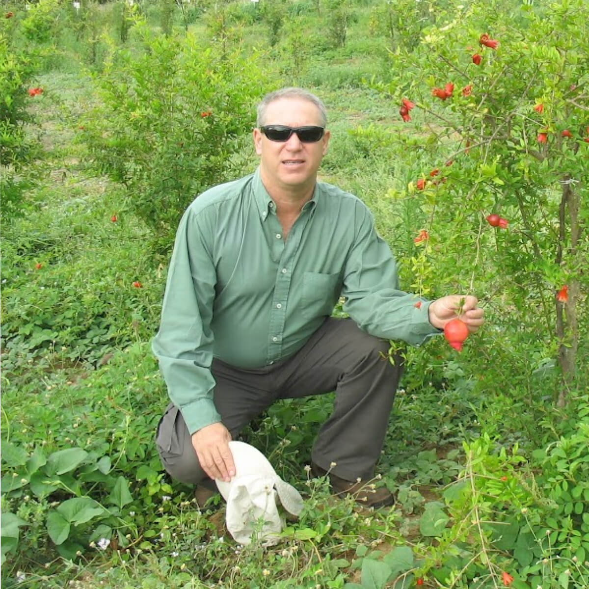 Sustainable Farming